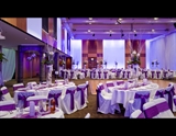 ATP Dining Room Purple