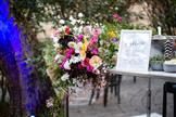 Investec Spring elebration 2018