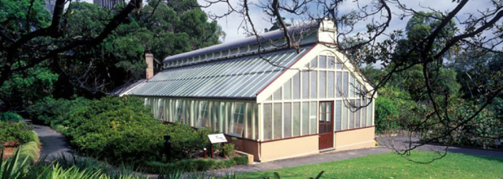 Botanicalslides8