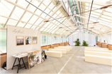 palm house 1