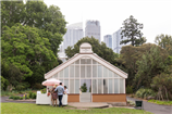 palm house 2