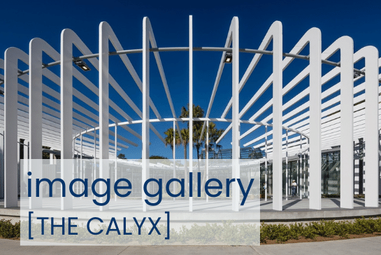 the-calyx-image-gallery-.png