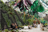 calyxgallery13